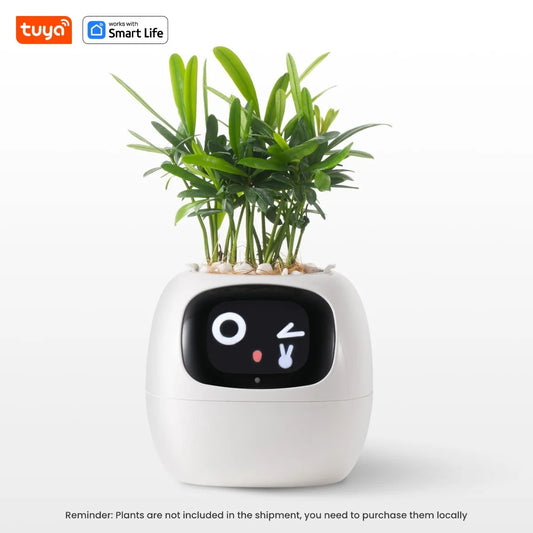 IvyBot – Smart AI Plant Friend with Emotions